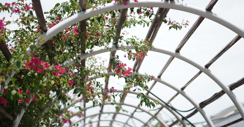 découvrez notre gamme de pergolas élégantes et fonctionnelles, idéales pour sublimer votre jardin ou terrasse. profitez d'un espace extérieur confortable, protégé du soleil et de la pluie, tout en ajoutant une touche de style à votre maison.